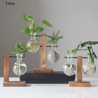 Time Plant-Jarrón De Cristal Hidropónico , Diseño De Terrario , Decoración Del Hogar .