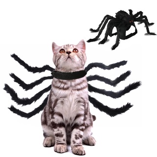 Ropa divertida marguerite nueva simulación disfraz De fiesta De cachorros halloween araña negra ropa De araña (6)