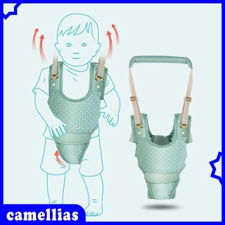 Andador Para niños/niños ajustables con cerradura desmontable Para niños De 7 a 24 Meses