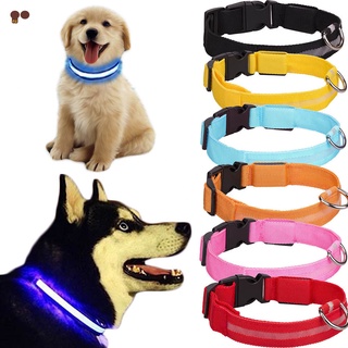 pry 1 pza collar led para mascotas/perro/correa de cuello intermitente/suministros de seguridad luminosos para exteriores