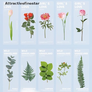 【AFS】 5pcs Nature Plants Bookmarks PET Translucent Flower Book Note Marker Page Holder 【Attractivefinestar】