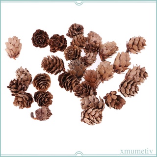30 piezas de conos de pino seco natural, hogar de boda, manualidades, rbol de (1)