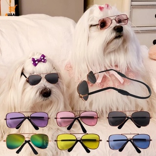 Cool Mini Gafas De Sol Para Gatos/Vestido Personalizado Para Mascotas /