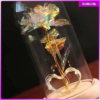 Preserved Eternal Rose LED Light Beauty Flower Birthday Valentine\\\'s Gift