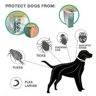 Anti pulgas mosquitos garrapatas Collar de perro insecto impermeable Herbal mascota Collar 8 meses de protección accesorios para perros (3)