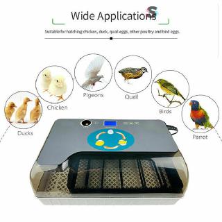 Incubadora de huevos Digital totalmente automática 12 huevos avícolas Hatcher para pollos patos (6)
