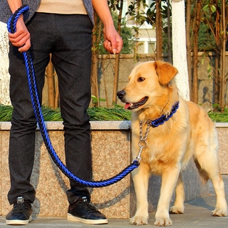 Collar De cuerda Para perros y correas Estéreo/Conjunto De collar Para perros Grandes (5)