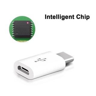 Adaptador Micro USB hembra a tipo C/iPhone Lightning macho, convertidor de Cable para Samsung Huawei xiaomi (9)