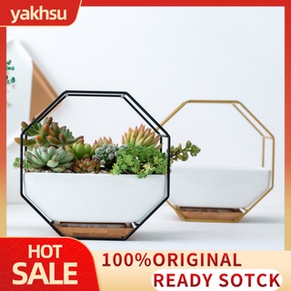 Yakhsu octágono colgante de pared suculenta planta maceta mesa de cerámica jarrón decoración