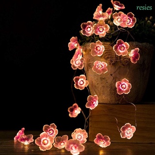 Luces Decorativas De 20 Leds De 8 pulgadas De alambre De Flor luces De cerezo/Multicolorido