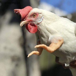 (nuevo**) músculo pollo negro pollo brazos decoración pollo cuerpo puño blanco pollo brazo piqging.co