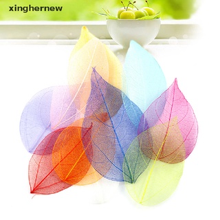 [xinghernew] 50 pzs hojas secas naturales de hojas secas decoración para manualidades hechas a mano