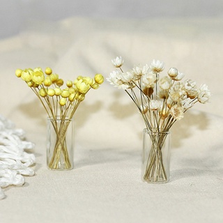 hfz mini jarrón de flores secas frescas modelo de muñeca decoración de casa muebles para el hogar manualidades (8)