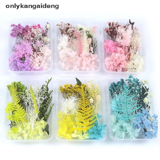 onlyka 1Box Dried Flower Dry Plants For Aromatherapy Candle Making DIY Accessories CO