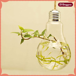 dia. 4\\\\ "botella colgante de vidrio transparente para plantas, flores, jardín, mesa, decoración