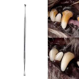[pandada] herramienta de limpieza de dientes de acero inoxidable de doble cabeza para mascotas, limpieza de boca para gatos, perros, limpieza de sarro, limpiador de manchas de dientes
