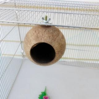 wow kereta nido de loro concha de coco jaula casa periquito pájaros ardilla hámster juguetes mascotas suministros