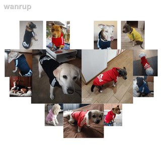 Ropa con capucha para perros medianos y grandes abrigo deportivo de algodón para perros medianos y grandes Addog abrigo para perros (3)