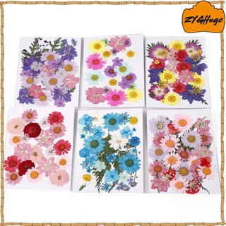 Dried And Pressed Natural Leaves And Flowers, Colorful Flower Decorations (8)