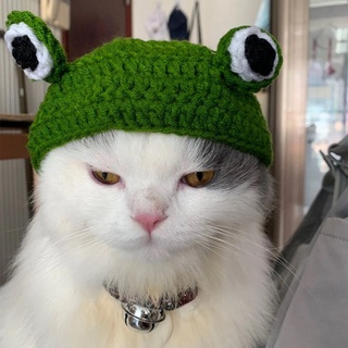 storto lindo sombrero de mascota hecho a mano tocado de rana sombrero de rana de dibujos animados fiesta gato suministros accesorios para perros mascota gorra cosplay mascota joyería (4)