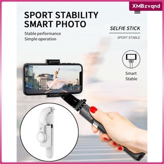 All in one Portable Selfie Stick Aluminum Alloy Phone Tripod with Wireless Remote Shutter for Phone 11 Smartphone Vlogging Live Stream (9)