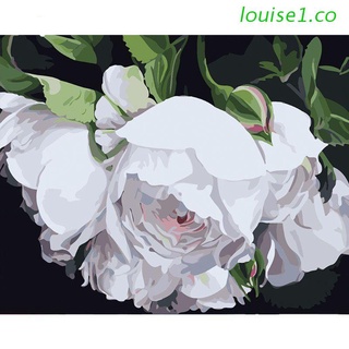 louise1 blanco floret paint by number kits 16 x 20 pulgadas lienzo diy o il pintura para niños, estudiantes, adultos principiantes con pinceles y pigmento acrílico (sin marco)