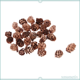 30 piezas de conos de pino seco natural, hogar de boda, manualidades, rbol de (5)