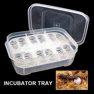 Nuevo 12 huevos Mini incubadora Digital automática bandeja de huevo de pollo pato huevo Hatcher DySunbey