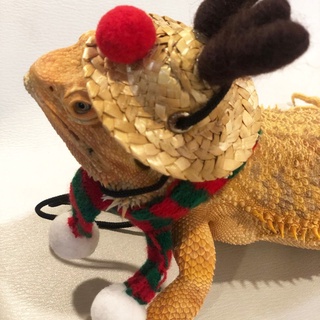 st pequeño animal disfraz de navidad conejillos de indias sombrero y bufanda para hámster lagarto (5)