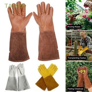 tasker para hombres mujeres poda guantes de rosa trabajo soldadura protección guantes de seguridad guantelete a prueba de espinas 1 par de manga larga cactus cuero herramientas de jardín
