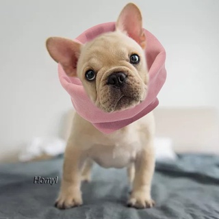 [Homyl] calmante orejas de perro cubierta Snood para reducir el ruido mascota capucha cachorro calentador de orejas