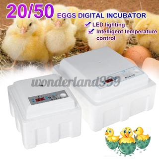 incubadora de huevos 20 unids/50pcs incubadora de cama de agua de plástico incubadora automática pequeña incubadora de cama de agua de pollo pato ganso paloma pavo real incubadora