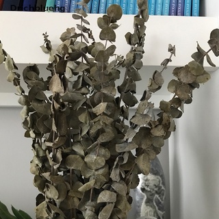 (drichbluehg) eucalipto natural para hojas de flores secas decoraciones diy decoración de boda hogar en venta