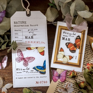 Peny 8 diseños mariposa coleccionista serie cuenta de mano transparente mariposa pegatinas DIY Material decoración separada cinta larga tira Vintage (5)