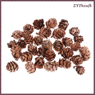 30 x pequeños conos de pino seco natural en flores secas a granel para (9)