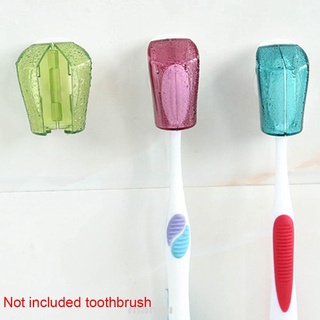 3 piezas soporte para cepillo de dientes montado en la pared, cubierta de polvo, baño transparente (1)