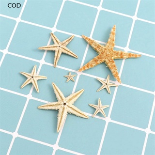 [cod] natural estrella de mar concha playa artesanía natural mar estrellas playa boda artesanía caliente