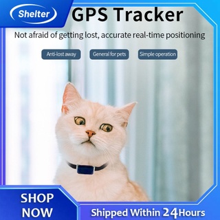2021 Localizador GPS Impermeable diad Infantil Anti-Pérdida Dispositivo Para Mascotas Gatos Y Perros/AGPS/WIFI/LBS/Beidou Satélite Alarma De Seguridad +