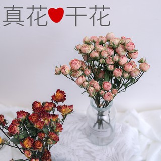 Flores secas, rosas largas, burbujas brillantes, ramos de flores secas Yunnan, flores secas mezcladas ins mini flores secas