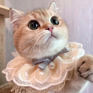 pet gato babero moda ajustable gatos collar bufanda estilo lindo cachorro collares de encaje flor con campanas para pequeño perro medio gatito