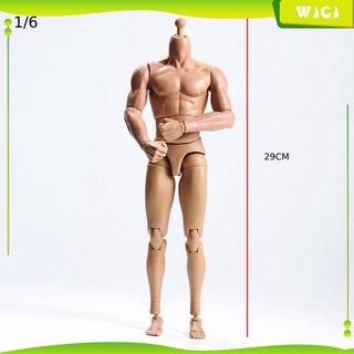 (Wici) Báscula 1:6 súper flexible Muscular Para hombres piel corporal
