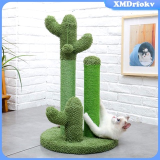 Camino Cactus gato rbol gato rascador poste con bola colgante juguete (1)