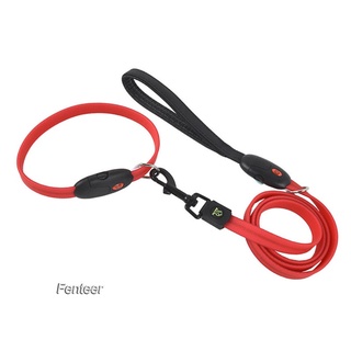 [FENTEER] Correa LED Para Perros 3 Modos Intermitentes USB Recargable Cachorro Plomo Y Cuerda De Seguridad Nocturna