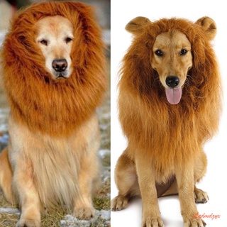 Peluca de melena de león con orejas para perro grande, ropa de Halloween, disfraz de mascota