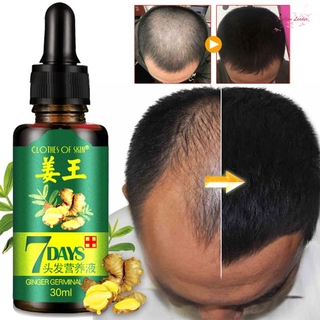 esencia de jengibre peluquería cabello máscara cabello aceite esencial cuidado del cabello aceite esencial aceite esencial cabello seco y dañado nutrición (1)