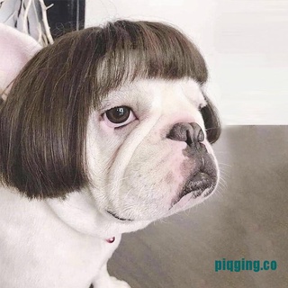 ^_^ pelucas de moda para mascotas/perro/gato cospaly props pelucas tiara hairpiece makeover ropa