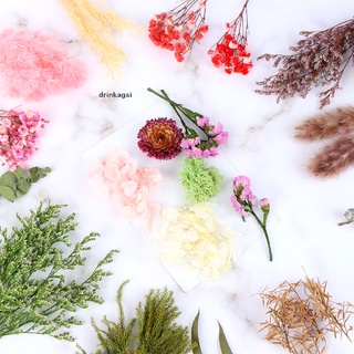 [Drinka] Natural Dried Flowers Leaves,Real Dried Pressed Flowers Mixed Multiple Color 471CO (9)