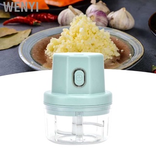 wenyi trituradora eléctrica de alimentos mini picadora de ajo picadora usb de carga inalámbrica de verduras masher máquina para cocina (6)