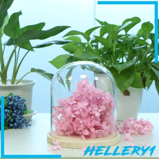 [Hellery1] expositor de vidrio decorativo Cloche campana tarro domo con Base de madera soporte DIY A
