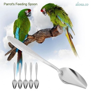ALOSA Feeder Milk Spoon Parrot Feeding Tool Spoon Spoons Bird Supplies Stainless Steel 2pcs Metal Powder Bird Feeders/Multicolor